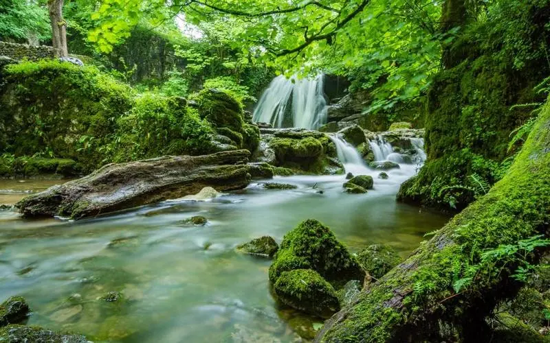 高标准自动化